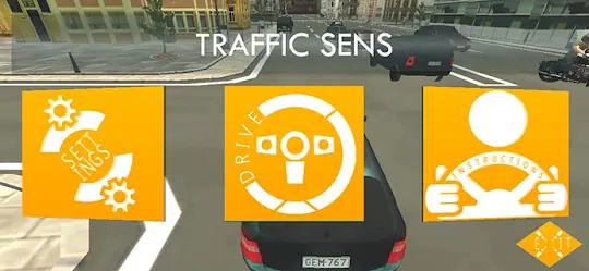 Traffic Sens: Freemium Version screenshot 1